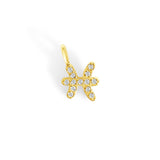 Charm Signe des Poissons - Goldybijoux