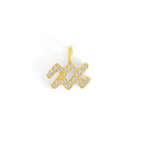 Charm Signe du Verseau - Goldybijoux
