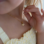 Charm Signe du Verseau - Goldybijoux
